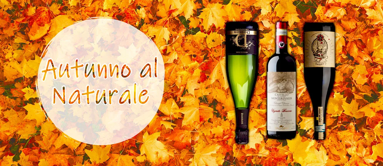 grafica-autunno-gpoint-wines