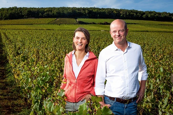 cantina Chandon de Briailles